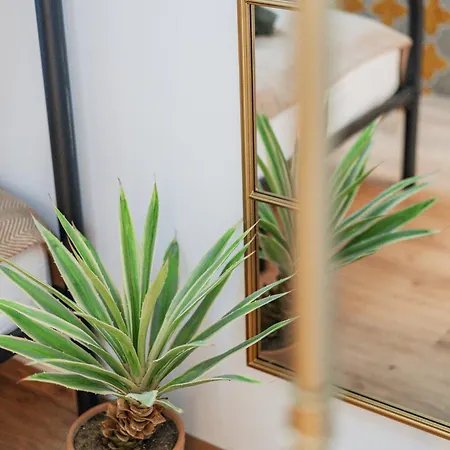 Green Apartments-3